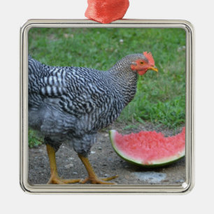 Chicken Ornament