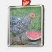Chicken Ornament (Links)