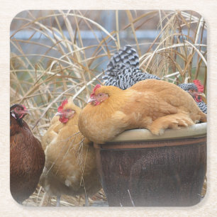 Chicken Party Onderzetter