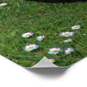 Chicken Poster (Hoek)