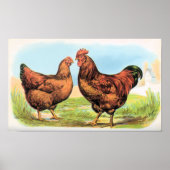 Chicken Print Rooster en Hen Partridges (Voorkant)