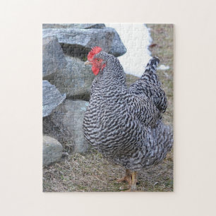 Chicken Puzzle Legpuzzel