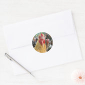 Chicken Ronde Sticker (Envelop)