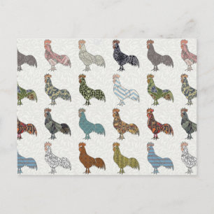 Chicken Rooster Colorful Pattern Boerderij Briefkaart