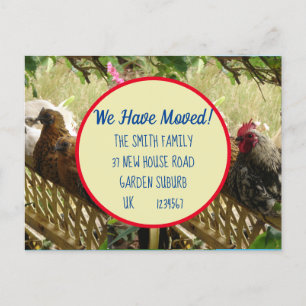Chicken Rooster Nouvelle Adresse Carte Postale Nou