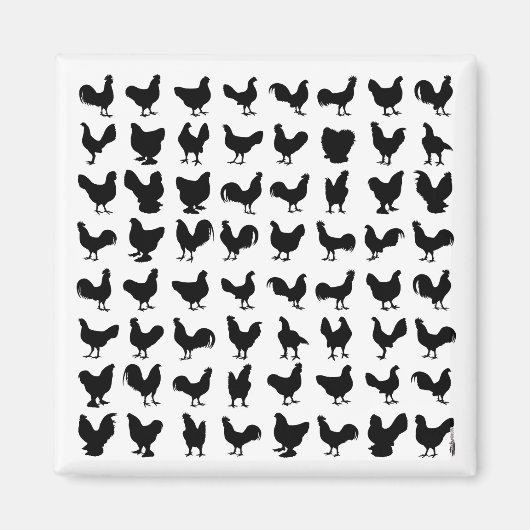 Chicken Silhouettes Magneet (Voorkant)
