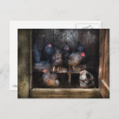 Chicken - The Hen House Briefkaart (Voorkant / Achterkant)