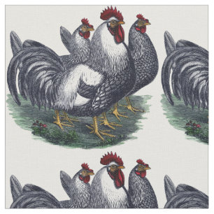 Chicken Trio Stof
