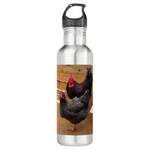 Chicken Water Bottle Waterfles