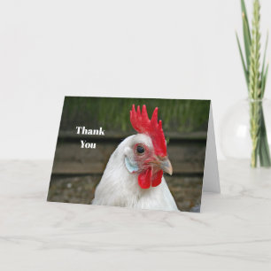 Chicken White Head Rooster Foto Bedankkaart