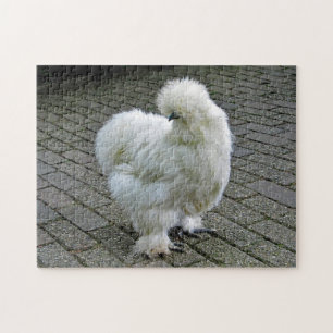 Chicken White Silkie Foto Legpuzzel
