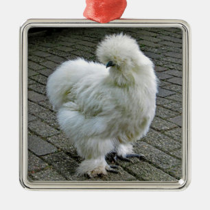 Chicken White Silkie Foto Metalen Ornament