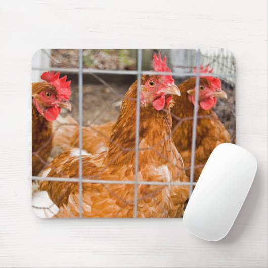 Chicken Wire Muismat (Met muis)
