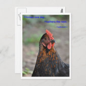 Chicken Wisdom - Feathers Briefkaart (Voorkant / Achterkant)