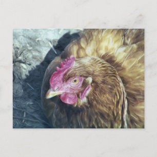 CHICKENS BRIEFKAART