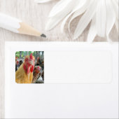 Chickens Etiket (Insitu)