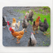 Chickens Mousepad Muismat (Voorkant)