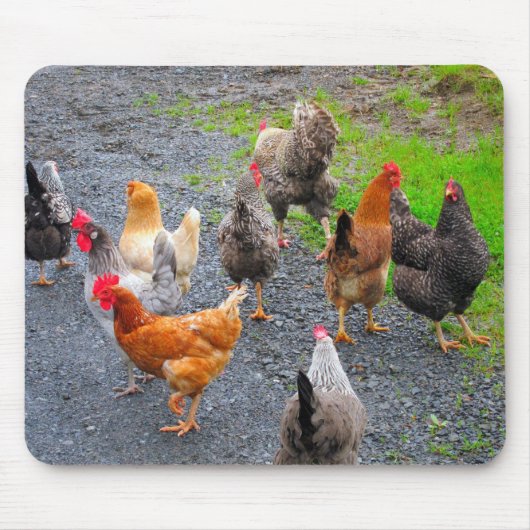 Chickens Mousepad Muismat (Voorkant)