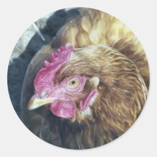 CHICKENS RONDE STICKER