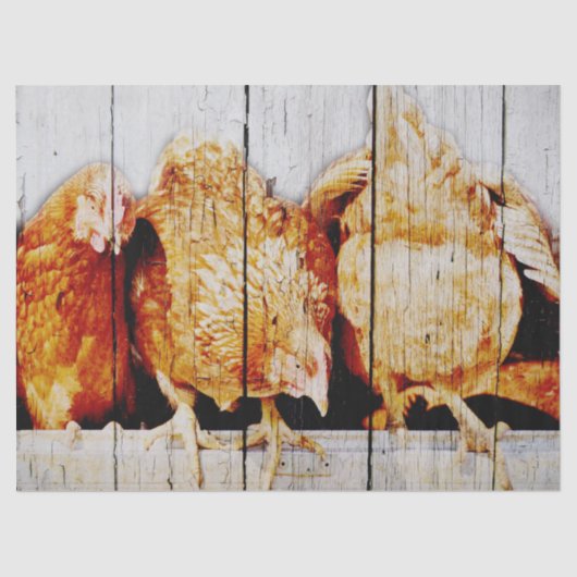 Chickens Tissuepapier (Voorkant)