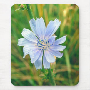 Chickory Flower Muismat