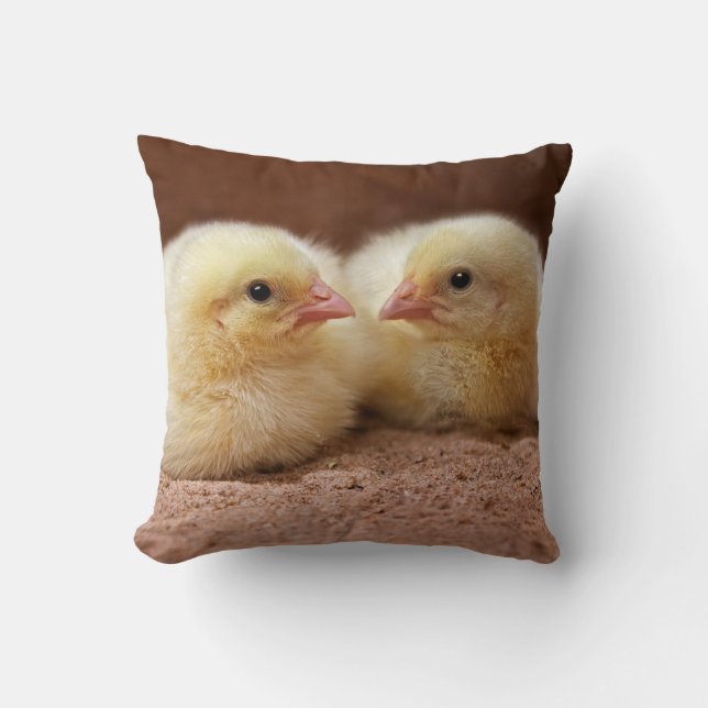 Chicks Pillow Kussen (Voorkant)
