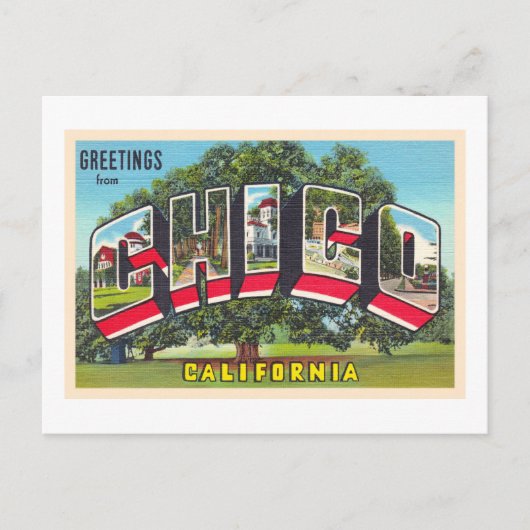 Chico California  Large Letter Briefkaart (Voorkant)
