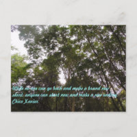 Chico Xavier Quotes