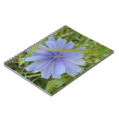 Chicory Blue Paars Flower Floral Notitieboek (Linkerzijde)