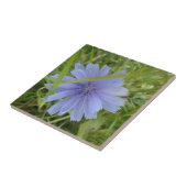 Chicory Blue Paars Flower Floral Tegeltje (Zijkant)
