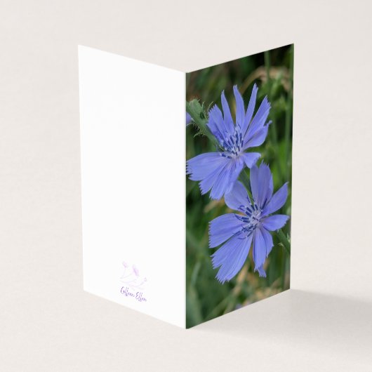 Chicory Flower Folded Note Card (Outside)