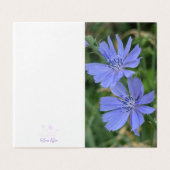 Chicory Flower Folded Note Card (Outside Unfolded)