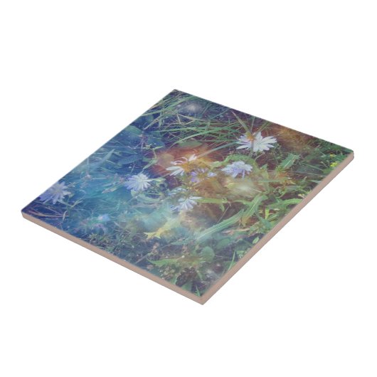 Chicory Grass Tile Tegeltje (Zijkant)