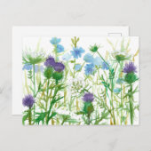 Chicory Thistle Queen Annes Lace Wildbloemen Briefkaart (Voorkant / Achterkant)