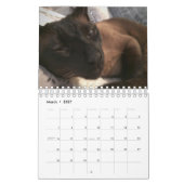 Chico's kalender 2020 (Mar 2027)