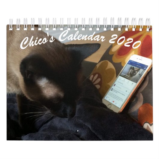 Chico's kalender 2020 (Hoes)