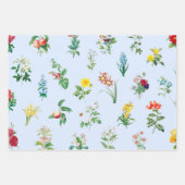 CHICS ET FEUILLES DE FLEURS PLUS RAPIDES (Devant 2)