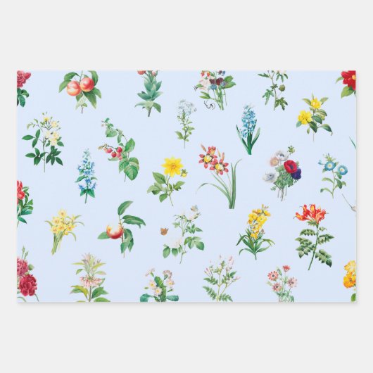 CHICS ET FEUILLES DE FLEURS PLUS RAPIDES (Devant 2)