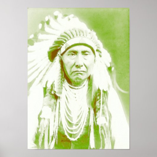 Chief Joseph Native American Leader Poster (Voorkant)
