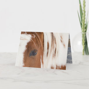 Chief's Eye Horse Wenskaart Kaart