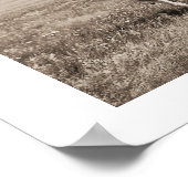 Chiefs van Piegan Blackfoot Poster (Hoek)