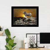 CHIEFTAIN BIG HORN SHEEP Wildlife Photo Poster (Bureau à domicile)