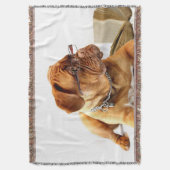 Chien 1 Lancer la couverture (devant Vertical)
