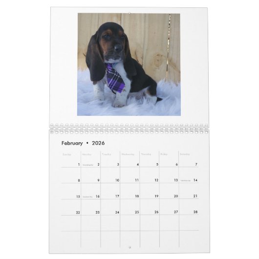 chien 2019 de basset de calendrier (Feb 2026)