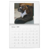 chien 2019 de basset de calendrier (Jan 2027)