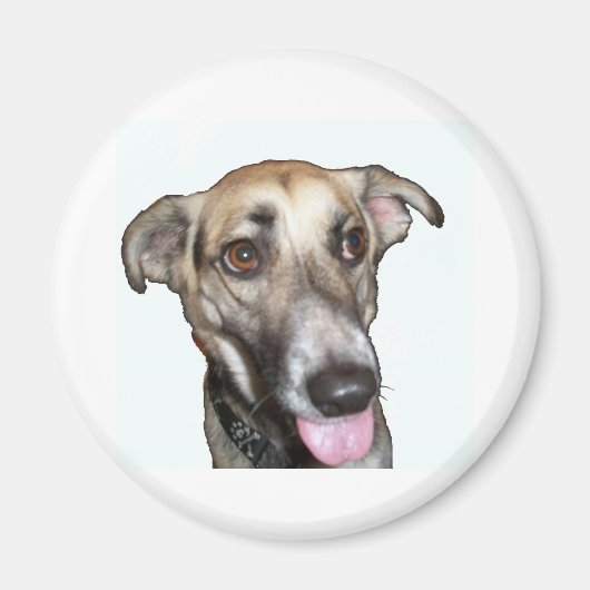 Chien 2, aimant (Devant)