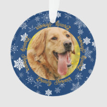 Chien 2 Photo Blue Snowflake Custom Christmas