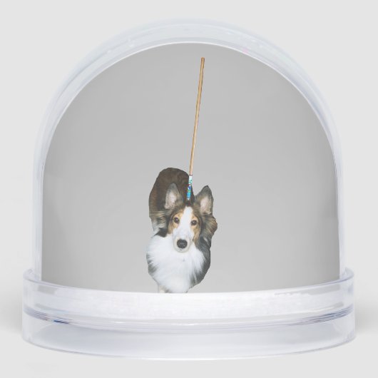 Chien à la broche (Avant)