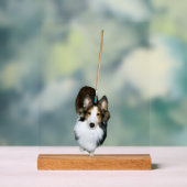 Chien à la broche (Neutre)