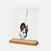 Chien à la broche (Angle)